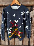 Disney Trui Maat 158 - Disneyland Parijs, Ophalen of Verzenden, Zo goed als nieuw, Jongen of Meisje