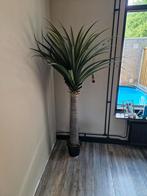 Drakenbloedboom (kunstplant), Huis en Inrichting, Woonaccessoires | Kunstplanten en Kunstbloemen, Ophalen