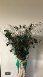 Pauwenveren, Huis en Inrichting, Woonaccessoires | Droogbloemen, Ophalen of Verzenden, Zo goed als nieuw