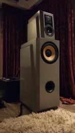 Zelfbouw speakers met Focal, Seas Excel en Thiel drivers, Gebruikt, 120 watt of meer, Front, Rear of Stereo speakers, Ophalen