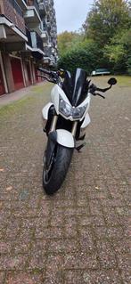 Z1000 2008, Particulier, Naked bike