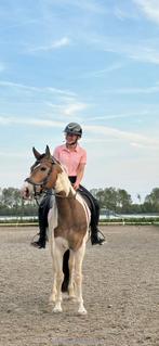 Verzorger/leaser gezocht omg Bovenkarspel, Ophalen of Verzenden, Zo goed als nieuw