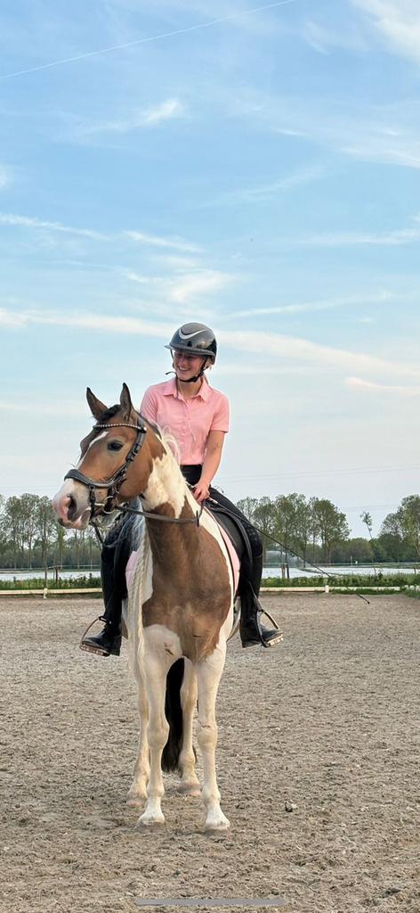 Verzorger/leaser gezocht omg Bovenkarspel, Dieren en Toebehoren, Paarden en Pony's | Verzorgingsproducten, Zo goed als nieuw, Ophalen of Verzenden