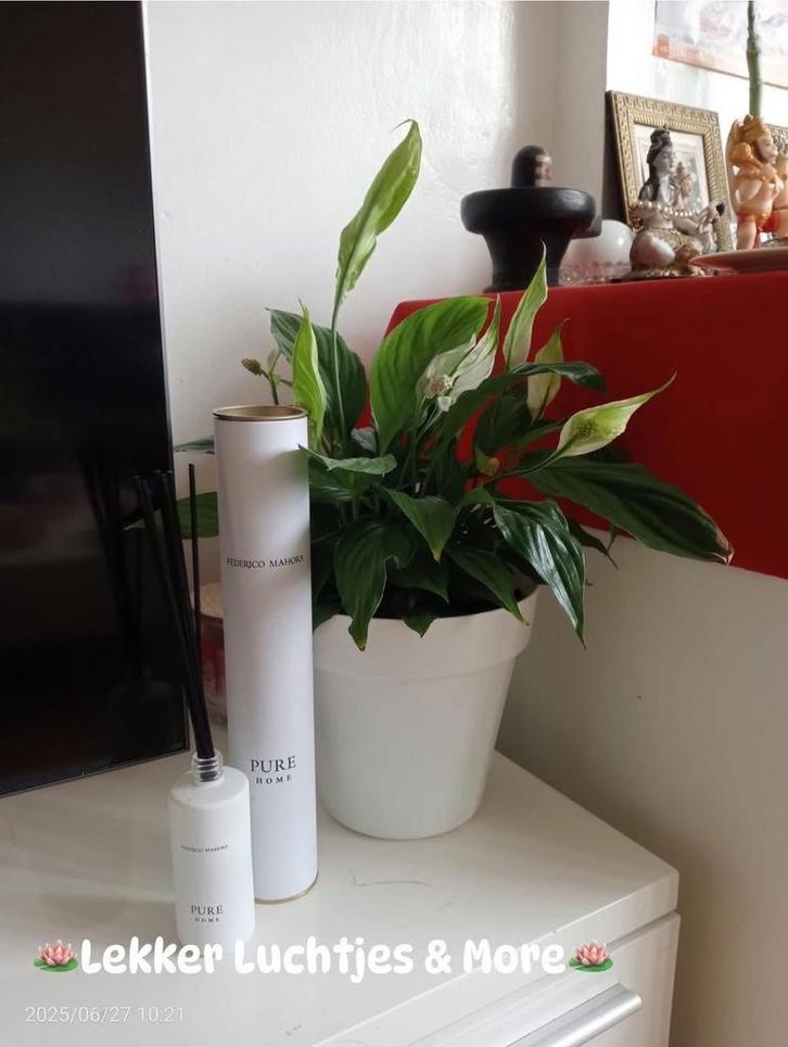 Geurstokjes, Huis en Inrichting, Woonaccessoires | Kandelaars en Kaarsen, Minder dan 25 cm, Overige materialen, Ophalen of Verzenden