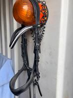 Schokemöle Stang en Trens hoofdstel Equitus Gamma, Ophalen of Verzenden, Nieuw, Dressuur