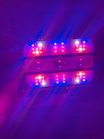 LED Kweeklamp voor Planten - HiPAR Series G400, Tuin en Terras, Kweekspullen, Ophalen of Verzenden, Zo goed als nieuw, Kweeklamp