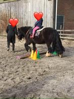 Pony rijden en stalling beschikbaar.