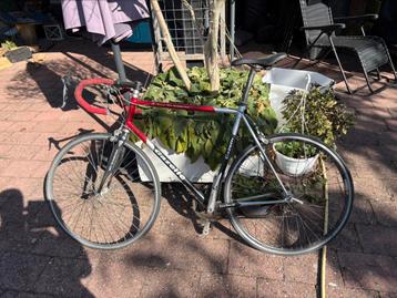 Mooie race fiets beschikbaar voor biedingen