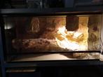 Terrarium 3D 100x40x50 cm, Dieren en Toebehoren, Reptielen en Amfibieën | Toebehoren, Ophalen, Terrarium of Paludarium