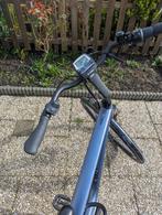 E-bike | Pegasus Siena E7F Plus Disc, Fietsen en Brommers, Elektrische fietsen, Overige merken, Ophalen of Verzenden, 50 km per accu of meer