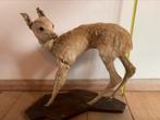 Ree bambi hert opgezet opgezette taxidermy antiek, Verzenden, Zo goed als nieuw, Hert, Opgezet dier