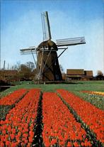Partij 2 met 12 mooie Molens zie beschrijving, Ophalen of Verzenden