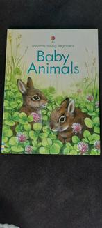 Baby Animals - Usborne Young Beginners, Boeken, Kinderboeken | Baby's en Peuters, Ophalen of Verzenden, Zo goed als nieuw, Usborne