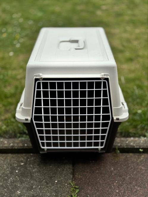 Kat | Hond bench | Reiskooi, Dieren en Toebehoren, Transportboxen, Zo goed als nieuw, Ophalen of Verzenden