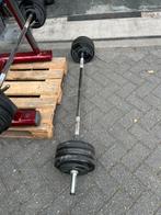 Technogym vaste halter stang 40 kg gewicht, Ophalen, Halter set, Halterstangen, 40 kg