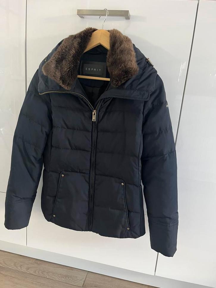 Mooie Esprit winterjas., Kleding | Dames, Jassen | Winter, Zo goed als nieuw, Maat 36 (S), Blauw, Ophalen of Verzenden