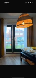 Rieten hang lamp, Ophalen of Verzenden, Zo goed als nieuw, Rond