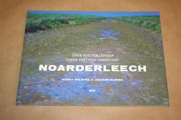 Noarderleech. Unyk poëtysk lânskip. beschikbaar voor biedingen