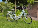 Cortina Roots moederfiets, Fietsen en Brommers, Ophalen, Gebruikt, Overige merken, Versnellingen