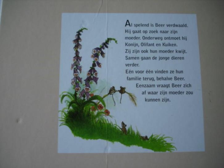 Kleuter.07(486) ik ben mijn moeder kwijt, illustraties van, Boeken, Kinderboeken | Kleuters, Zo goed als nieuw, Ophalen of Verzenden