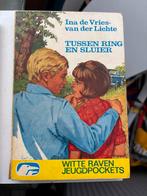 Ina de Vries-van der Lichte Boeken, Ophalen of Verzenden, Gelezen, Fictie algemeen