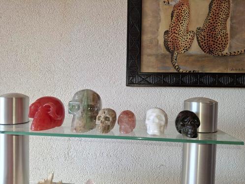 Verzameling schedels 5x, Verzamelen, Mineralen en Fossielen, Mineraal, Ophalen of Verzenden
