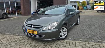 Peugeot 307 CC 2.0-16V beschikbaar voor biedingen