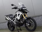 Triumph TIGER 1200 RALLY PRO (bj 2023), Bedrijf, Toermotor, 1200 cc