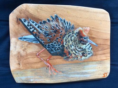 Vogels op hout geschilderd, Antiek en Kunst, Kunst | Schilderijen | Modern, Ophalen of Verzenden