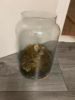 Terrarium / Glazen Pot - 29x20 cm, Huis en Inrichting, Ophalen, Gebruikt