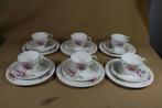 6 kop en schotels + gebaksbordjes Royal Doulton Arcadia, Ophalen of Verzenden