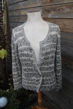 Vest creme/ grijs/ goud Claudia Strater mt 42 Vaste prijs AA, Kleding | Dames, Truien en Vesten, Maat 42/44 (L), Ophalen of Verzenden