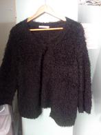Betty Barclay  Collection, Ophalen of Verzenden, Gedragen, Maat 38/40 (M)
