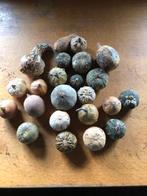 gedroogde kalebassen, Ophalen