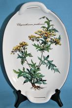 Villeroy & Boch " Botanica " Ovale schaal, Ophalen of Verzenden, Overige stijlen, Porselein, Schaal of Schalen