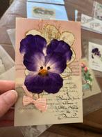 Celluloid Kaart met Viool - Frankrijk Brocante Curiosa, Ophalen of Verzenden