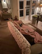 Lieve Asta zoekt perfecte match!, CDV (hondenziekte), Eén hond, 3 tot 5 jaar, Nederland