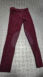 Ruiterbroek aubergine maat 134/140, Dieren en Toebehoren, Paardrijkleding, Kinderen, Zo goed als nieuw, Recreatie, Onderkleding