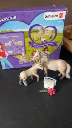 Schleich paard met veulen, Ophalen of Verzenden, Zo goed als nieuw