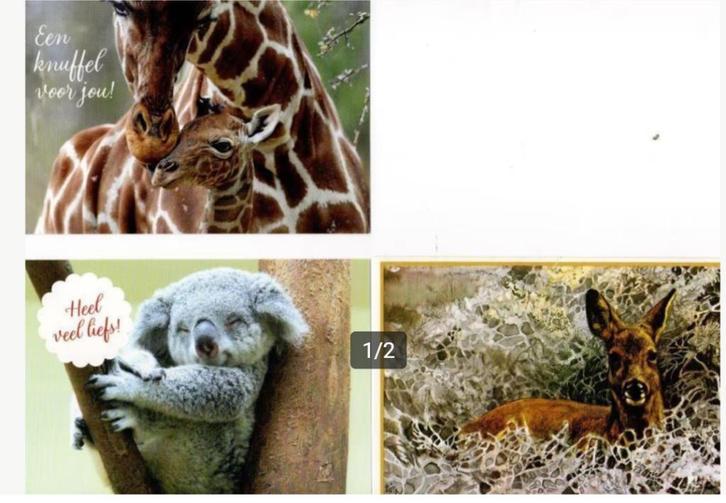 ansichtkaarten met dieren. Kaart met Vlinder. etc., Verzamelen, Ansichtkaarten | Dieren, Ongelopen, 1980 tot heden, Vogel, Verzenden