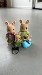 Gezin sylvanian famylies, Ophalen of Verzenden