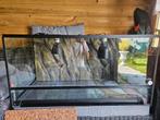 Terrarium 120×60×60, Dieren en Toebehoren, Reptielen en Amfibieën | Toebehoren, Ophalen, Gebruikt, Terrarium of Paludarium