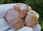 Cactus Amethist Spirit Kwarts Cluster Zuid-Afrika, Ophalen of Verzenden, Mineraal