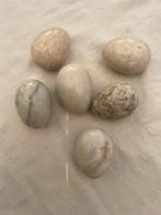 Stenen eieren, Ophalen