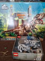 lego jurassic park t rex 75936 en 21320 en extra dino's, Ophalen of Verzenden, Gebruikt