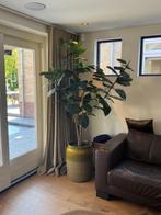 Kunstplant tabaksplant + groene pot, Ophalen of Verzenden, Zo goed als nieuw, Binnen