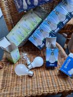 Gloeilampen, Peertjes, ouderwetse gloeilamp, 3 soorten, Ophalen of Verzenden, Nieuw, E27 (groot), Gloeilamp