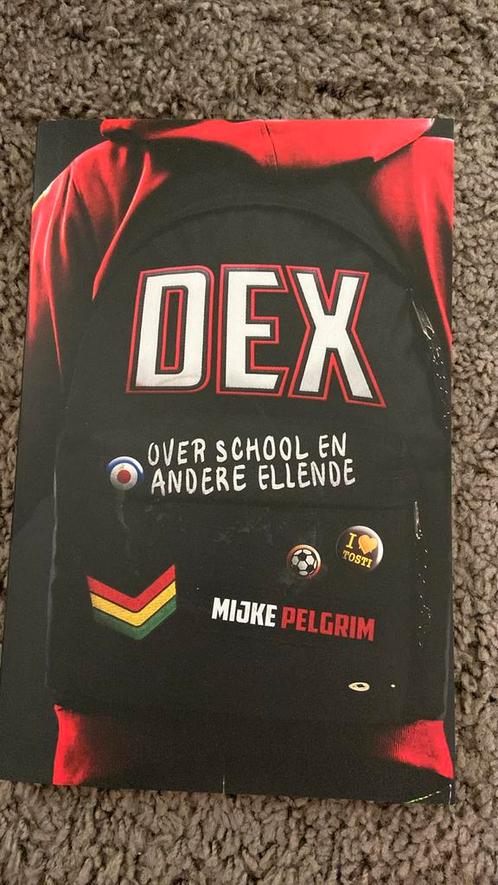 Mijke Pelgrim - Dex, Boeken, Kinderboeken | Jeugd | 10 tot 12 jaar, Zo goed als nieuw, Ophalen of Verzenden