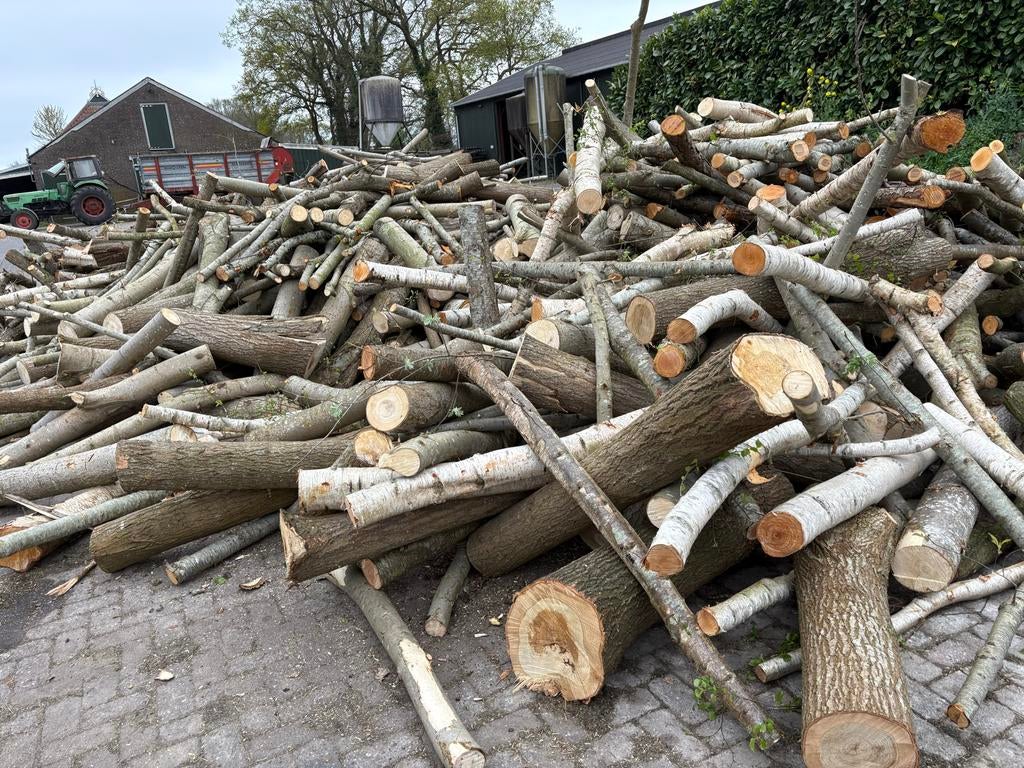 Haardhout Stammen, 6 m³ of meer, Ophalen, Overige houtsoorten, Stammen