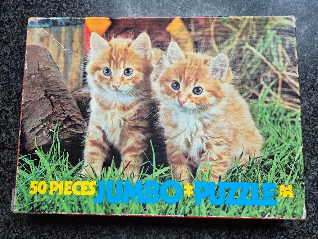 Jumbo Puzzel 50 stukjes met poesjes, Ophalen of Verzenden, Minder dan 500 stukjes, Gebruikt
